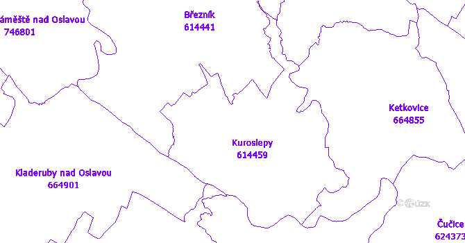 Katastrální mapa Kuroslepy