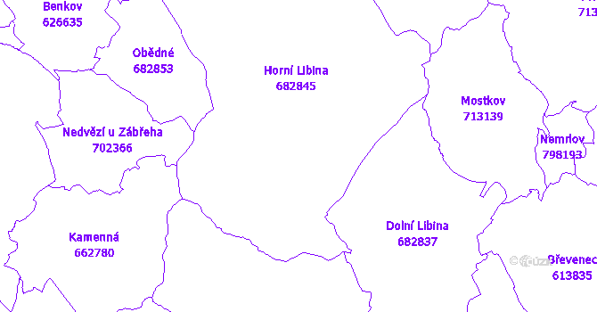 Katastrální mapa Libina