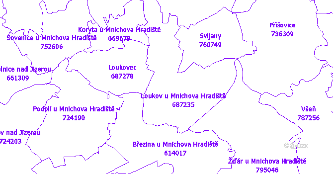 Katastrální mapa Loukov