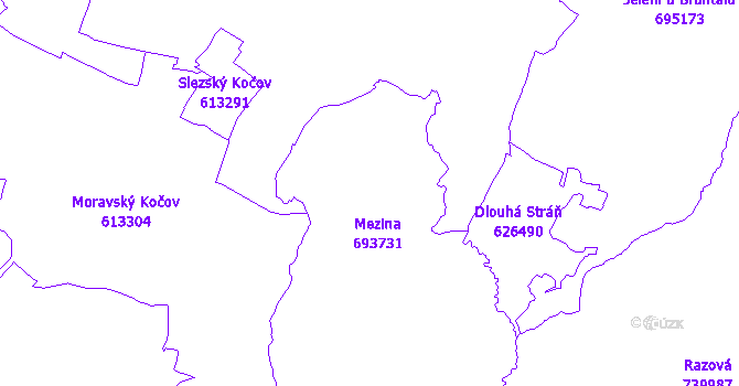 Katastrální mapa Mezina