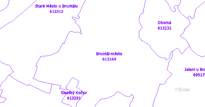 Katastrální mapa Bruntál
