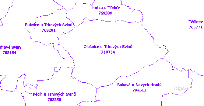Katastrální mapa Olešnice