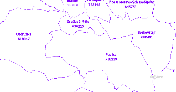 Katastrální mapa Pavlice