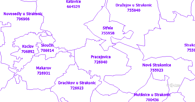 Katastrální mapa Pracejovice
