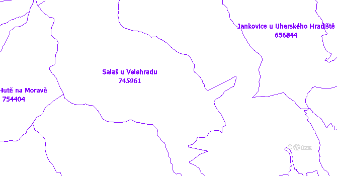 Katastrální mapa Salaš