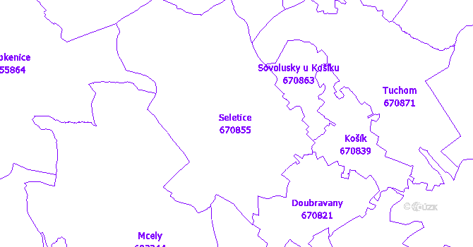 Katastrální mapa Seletice