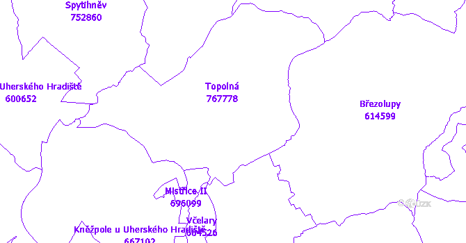 Katastrální mapa Topolná