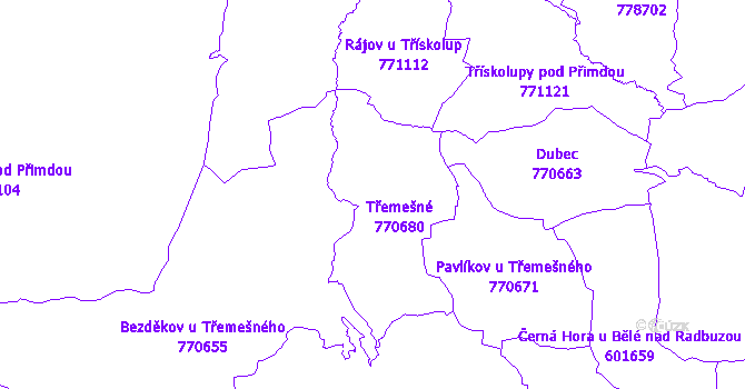 Katastrální mapa Třemešné