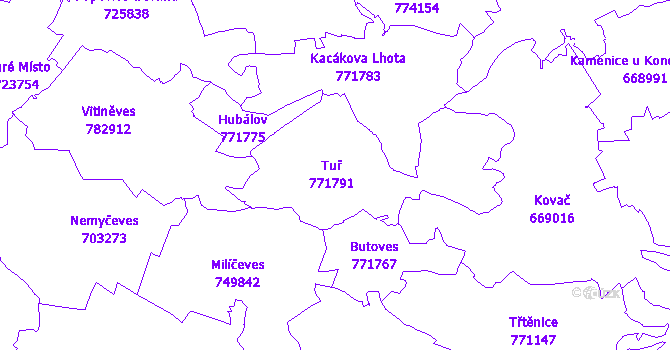 Katastrální mapa Tuř