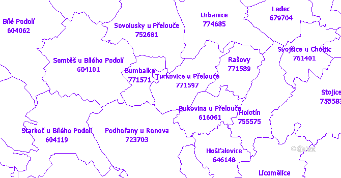Katastrální mapa Turkovice