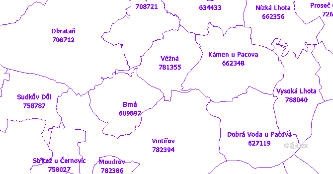 Katastrální mapa Věžná
