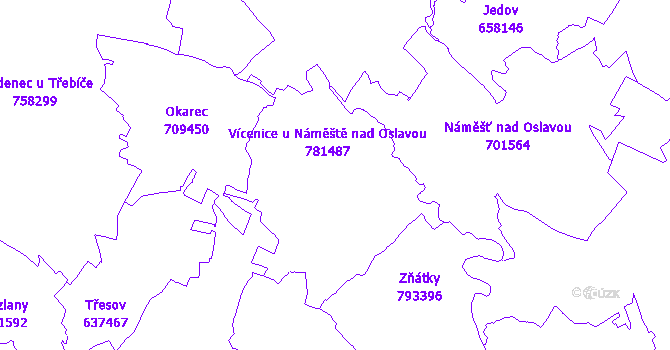 Katastrální mapa Vícenice u Náměště nad Oslavou
