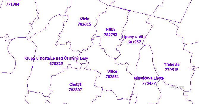 Katastrální mapa Vitice