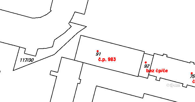 Borovina 983, Třebíč na parcele st. 91 v KÚ Řípov, Katastrální mapa