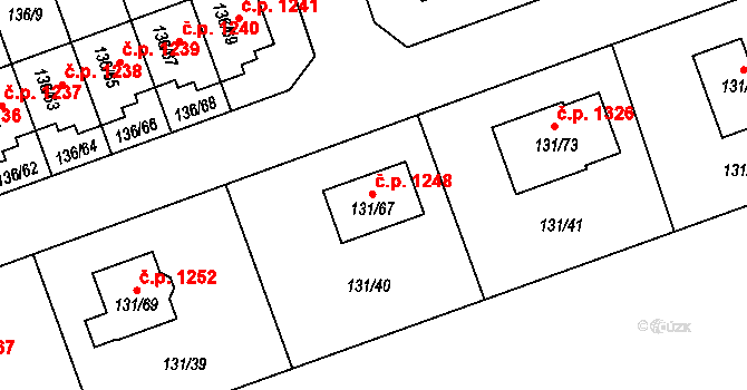 Černice 1248, Plzeň na parcele st. 131/67 v KÚ Černice, Katastrální mapa