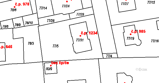 Černice 1234, Plzeň na parcele st. 77/31 v KÚ Černice, Katastrální mapa
