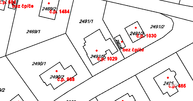 Braník 1029, Praha na parcele st. 2491/5 v KÚ Braník, Katastrální mapa