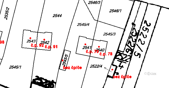Petrův Dvůr 79, Netolice na parcele st. 2541 v KÚ Netolice, Katastrální mapa