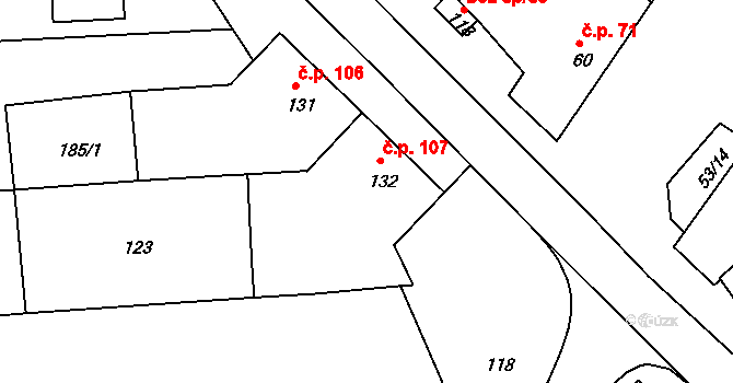 Rostěnice 107, Rostěnice-Zvonovice na parcele st. 132 v KÚ Rostěnice, Katastrální mapa