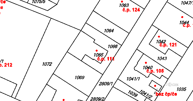 Dačice V 111, Dačice na parcele st. 1065 v KÚ Dačice, Katastrální mapa
