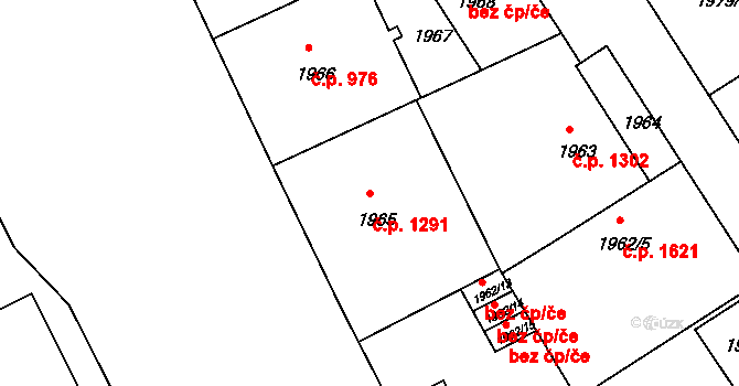 Nusle 1291, Praha na parcele st. 1965 v KÚ Nusle, Katastrální mapa