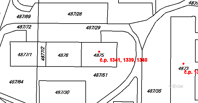 Žamberk 1339,1340,1341 na parcele st. 4875 v KÚ Žamberk, Katastrální mapa