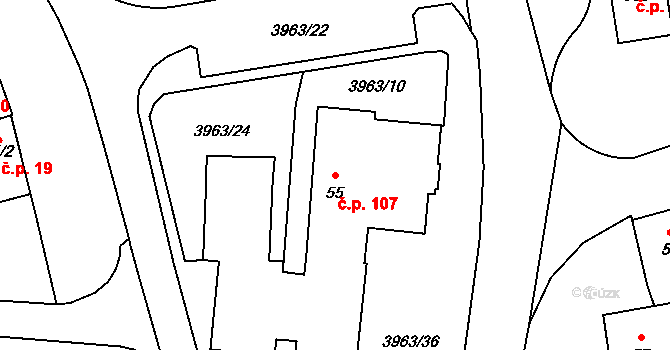 Borovany 107 na parcele st. 55 v KÚ Borovany, Katastrální mapa