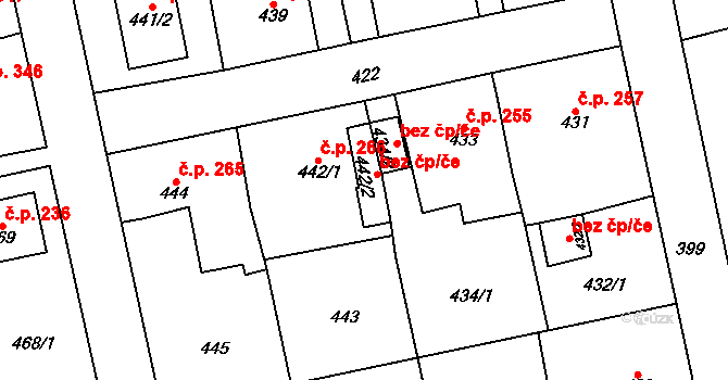 Dolní Rychnov 48580040 na parcele st. 442/2 v KÚ Dolní Rychnov, Katastrální mapa