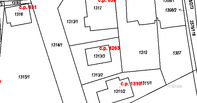 Třemošná 1263 na parcele st. 1313/3 v KÚ Třemošná, Katastrální mapa