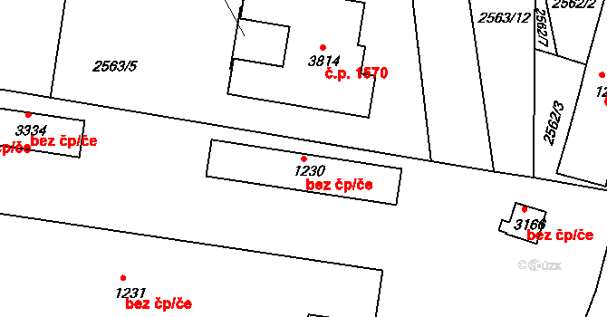 Ústí nad Orlicí 39445046 na parcele st. 1230 v KÚ Ústí nad Orlicí, Katastrální mapa