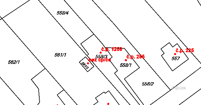 Ráj 1258, Karviná na parcele st. 558/3 v KÚ Ráj, Katastrální mapa