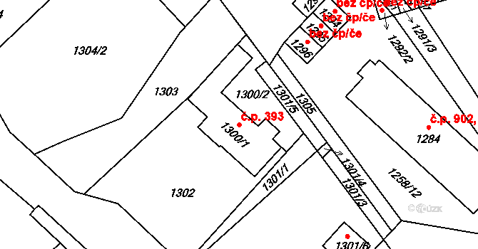 Bystřice 393 na parcele st. 1300/1 v KÚ Bystřice nad Olší, Katastrální mapa