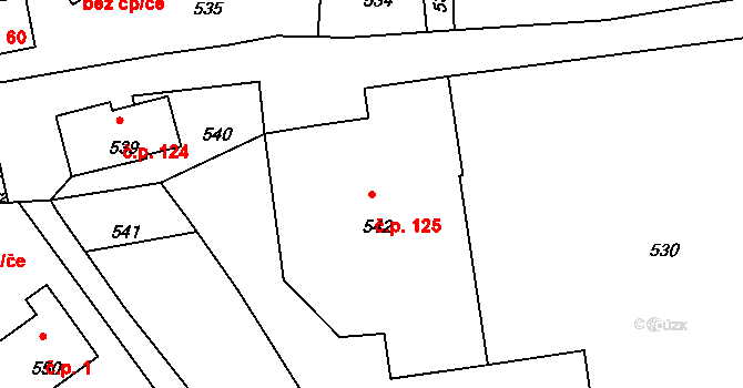 Dolní Chřibská 125, Chřibská na parcele st. 542 v KÚ Dolní Chřibská, Katastrální mapa