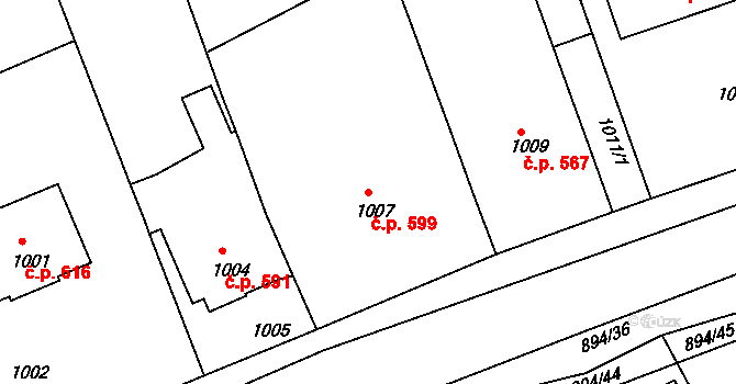 Ivanovice na Hané 599 na parcele st. 1007 v KÚ Ivanovice na Hané, Katastrální mapa