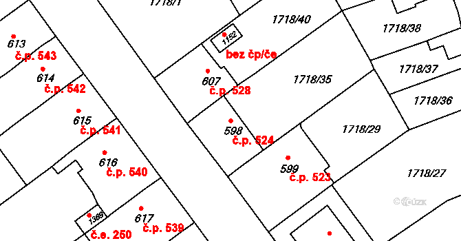 Brtnice 524 na parcele st. 598 v KÚ Brtnice, Katastrální mapa