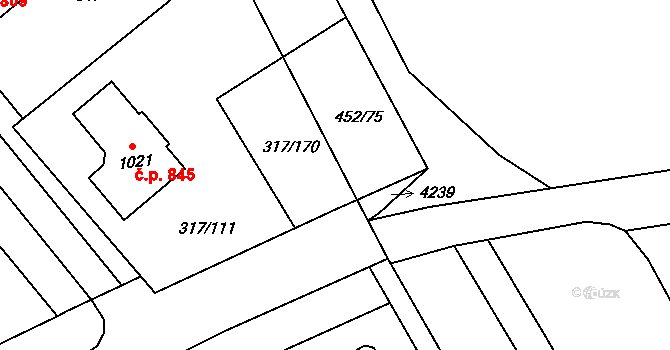 Rakvice 43492061 na parcele st. 317/111 v KÚ Rakvice, Katastrální mapa