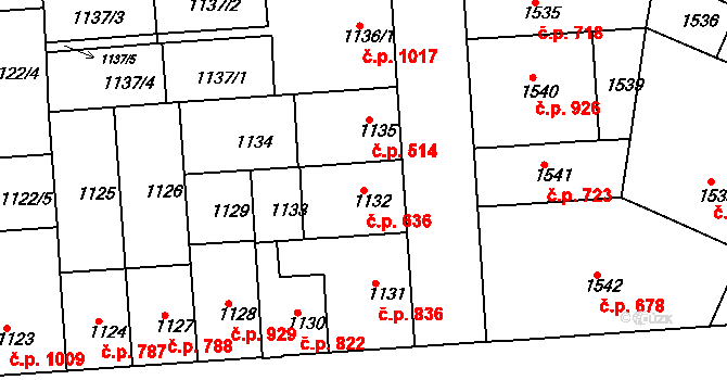 Černovice 636, Brno na parcele st. 1132 v KÚ Černovice, Katastrální mapa