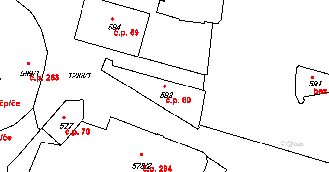 Plešivec 60, Český Krumlov na parcele st. 593 v KÚ Český Krumlov, Katastrální mapa