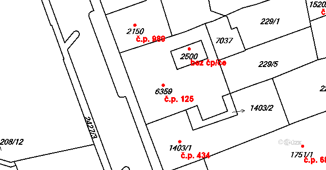 Cheb 125 na parcele st. 6359 v KÚ Cheb, Katastrální mapa