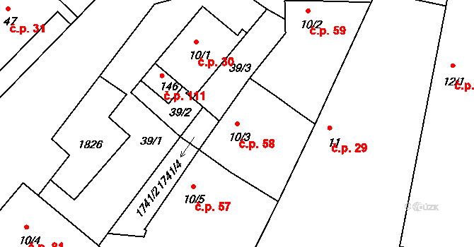 Borkovice 58 na parcele st. 10/3 v KÚ Borkovice, Katastrální mapa