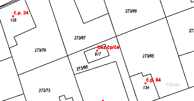 Třemošnice 50451081 na parcele st. 917 v KÚ Třemošnice nad Doubravou, Katastrální mapa