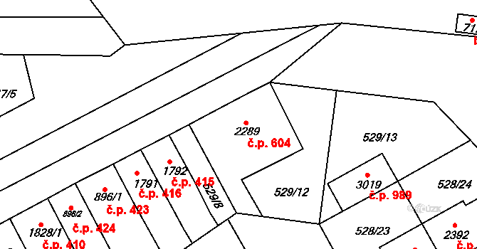 Borovina 604, Třebíč na parcele st. 2289 v KÚ Třebíč, Katastrální mapa