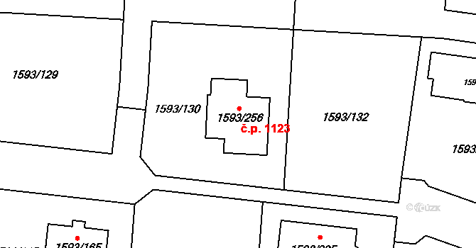 Kosmonosy 1123 na parcele st. 1593/256 v KÚ Kosmonosy, Katastrální mapa