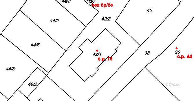 Dolní Pochlovice 75, Kynšperk nad Ohří na parcele st. 42/1 v KÚ Dolní Pochlovice, Katastrální mapa