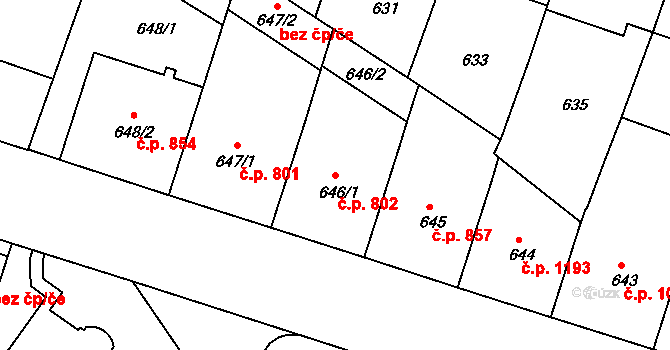 Nusle 802, Praha na parcele st. 646/1 v KÚ Nusle, Katastrální mapa