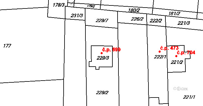 Veverská Bítýška 699 na parcele st. 229/3 v KÚ Veverská Bítýška, Katastrální mapa