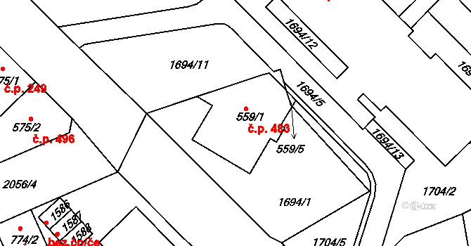 Ústí nad Orlicí 483 na parcele st. 559/1 v KÚ Ústí nad Orlicí, Katastrální mapa