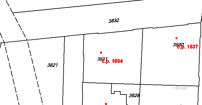 Černá Pole 1894, Brno na parcele st. 3831 v KÚ Černá Pole, Katastrální mapa