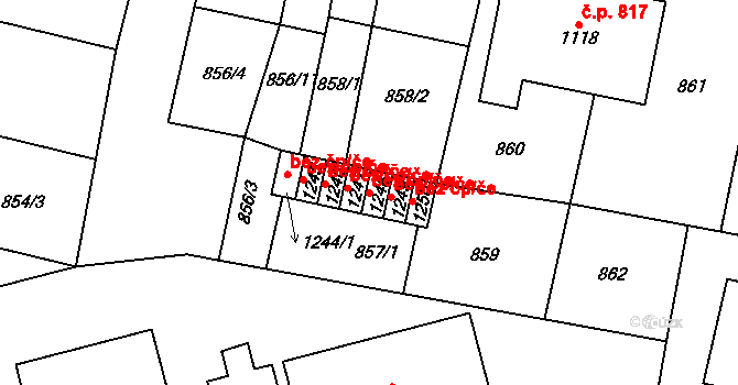 Libochovice 41098099 na parcele st. 1248 v KÚ Libochovice, Katastrální mapa