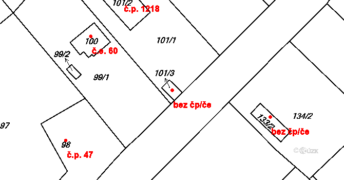 Třemošná 81782101 na parcele st. 101/3 v KÚ Třemošná, Katastrální mapa